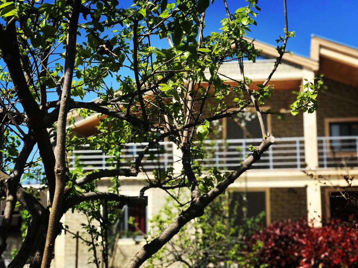 Villa Garden Shkodra Zewnętrze zdjęcie